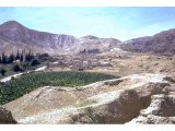 Site of the excavations at Old Jericho